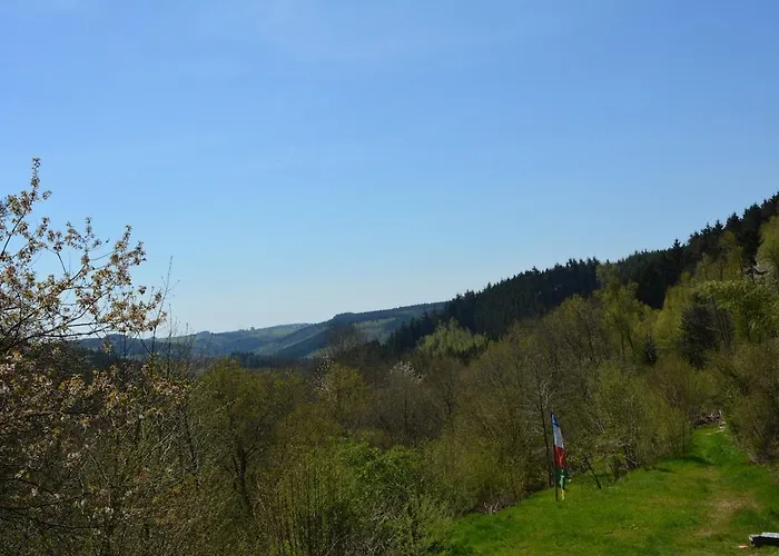Vakantiehuis L'oree De Borzee La-Roche-en-Ardenne