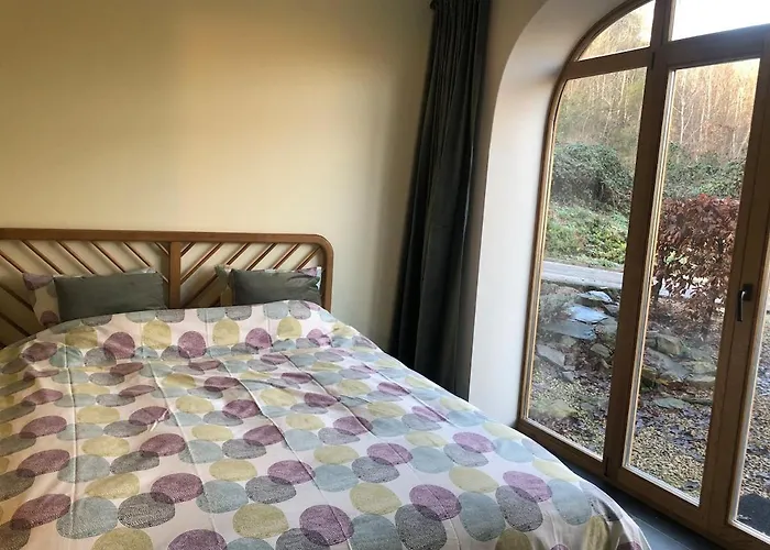 L'oree De Borzee * La-Roche-en-Ardenne